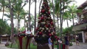 ハワイでのクリスマスの過ごし方その3: ハワイ風クリスマスツリーを満喫♪